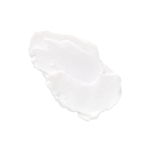 L’OCCITANE Shea Butter Hand Cream: Nourishes Very Dry Hands, Protects Skin, With 20% Organic Shea Butter, Vegan