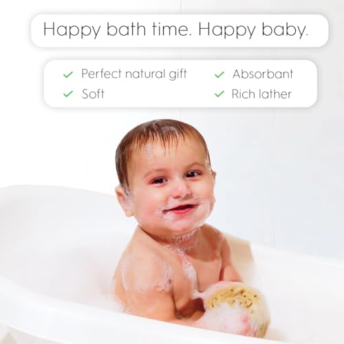 NAROA Natural Baby Bath Sponge in Gift Box | Premium Soft Wool Sea Sponge for Babies | Newborn Bath Time Essentials | Sustainable & Plastic Free (1 Pack)