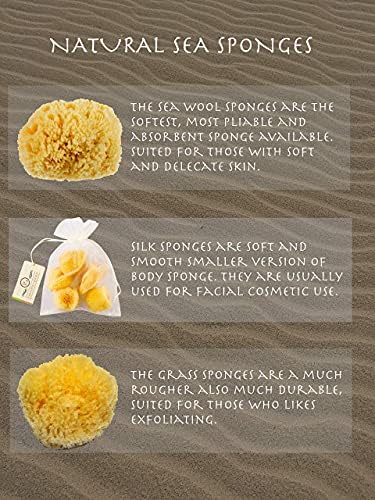 Sea Sponge for Bathing 5 inch-Softly Rough but Not Skin Irritating – Yellow, Natural Bath Sponge-Renewable Resource – Natural Sponge for Body and Shower-Lathers & Washes Really Well