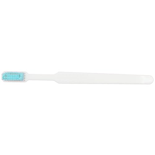 Prepasted Reusable Toothbrush- 30 Pack- Made in the USA