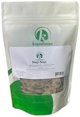 NEP NEP (Acacia Nilotica Seeds) - 2oz, Hand-Harvested and Sun-Dried Organic Seeds from Mali