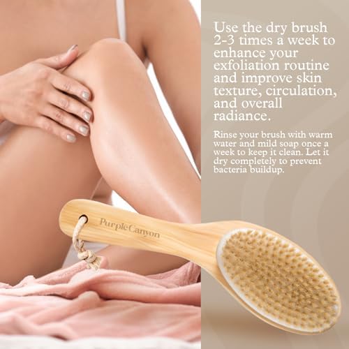 Purple Canyon Exfoliating Dry Brush | Natural Bristles and Ergonomic Birchwood Handle | Body Brush for Lymphatic Drainage and Skin Care