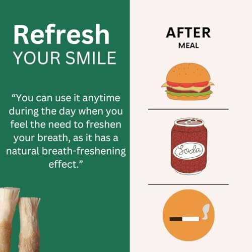 Miswak Stick for Teeth Organic | Natural Toothbrush Whitening Kit | Premium Quality Miswak | Siwak Toothbrush Stick | Natural Chew Sticks for Humans | with Pen-Holder | African Miswak Stick
