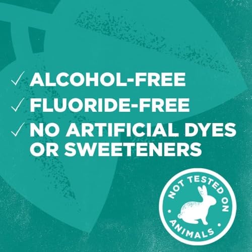 Tom's of Maine Long Lasting Wicked Fresh Mouthwash, Cool Mountain Mint - 16 oz - 2 pk by Tom's of Maine