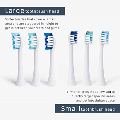 Elements Toothbrush Heads - Compatible With Elements Sonic Toothbrush, Large, Soft Bristles, Large- Replacement Brush Heads, Large (Pack of 3)