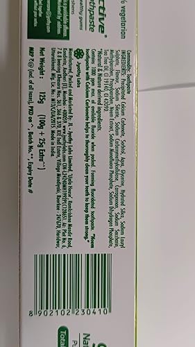 Neem Active Toothpaste 100 Grams Pack of 3