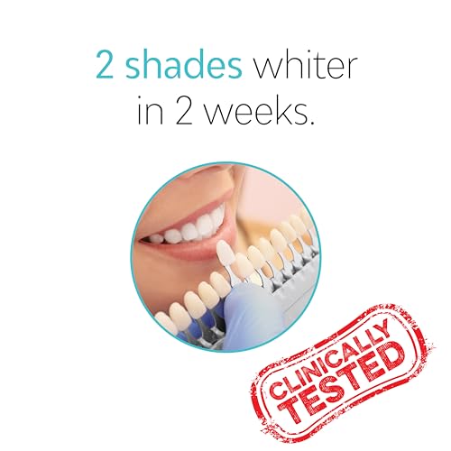 TAO Clean Daily Care Whitening Replacements Heads - Black - 2 Pack