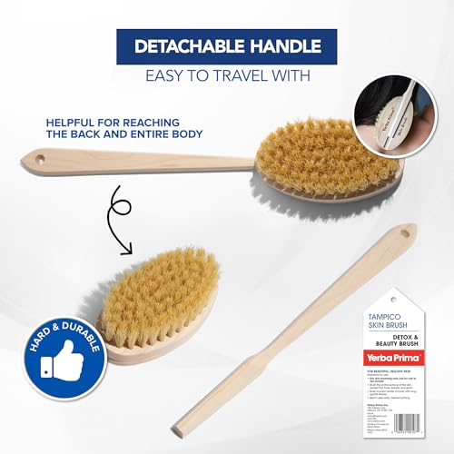 Yerba Prima Tampico Skin Brush for Exfoliation, Dry Brushing, and Blood Circulation with Natural Fiber Bristles and an All-Natural Maple Wood Handle - 1 Brush
