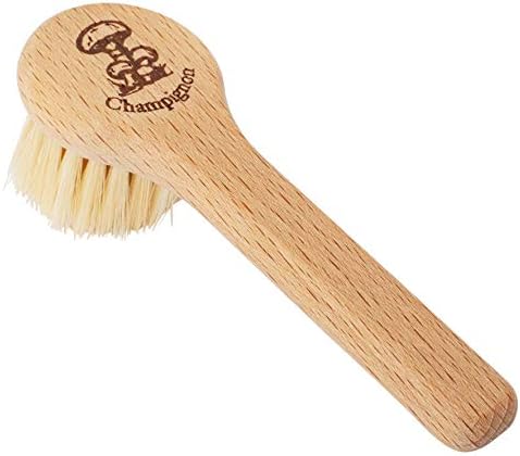 REDECKER Natural Pig Bristle Mushroom Brush Cleaner with Beechwood Handle, Gently and Thoroughly Cleans Mushrooms Without Water, 5 inches, Made in Germany - Mushroom Cleaner Brush