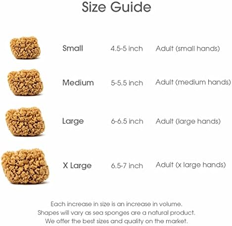 Naroa Massage Natural Shower Sponge | Unbleached Body Scrubber Puff | Bath Sea Loofah for Healthy Skin | Sustainable Plastic Free (Small)