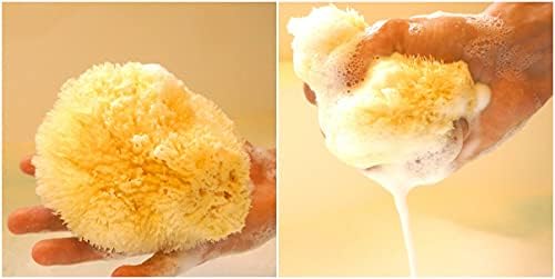 Sea Sponge for Bathing 5 inch-Softly Rough but Not Skin Irritating – Yellow, Natural Bath Sponge-Renewable Resource – Natural Sponge for Body and Shower-Lathers & Washes Really Well