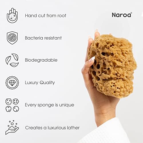 Naroa Massage Natural Shower Sponge | Unbleached Body Scrubber Puff | Bath Sea Loofah for Healthy Skin | Sustainable Plastic Free (Small)