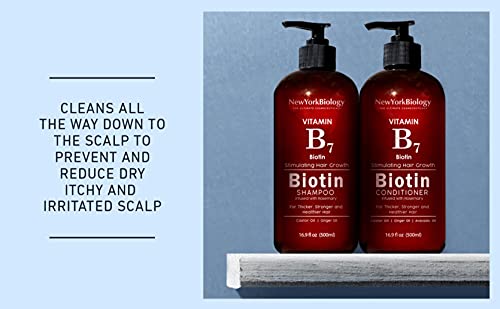 New York Biology Biotin Conditioner for Hair Growth and Thinning Thickening Formula for Hair Loss Treatment For Men & Women Anti Dandruff - 16.9 fl Oz