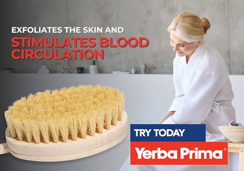 Yerba Prima Tampico Skin Brush for Exfoliation, Dry Brushing, and Blood Circulation with Natural Fiber Bristles and an All-Natural Maple Wood Handle - 1 Brush