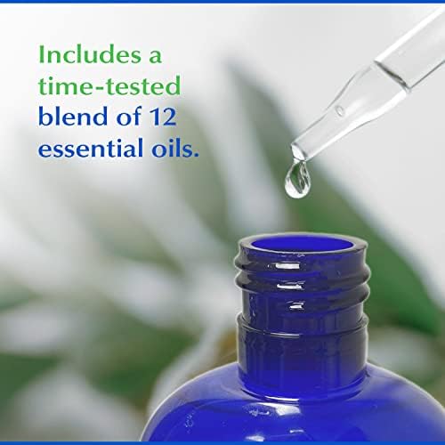 Eco-Dent Alcohol-Free Mouthwash, Mint - Ultimate Essential MouthCare, Oral Care Mouth Wash for Adults, Baking Soda Mouth Rinse with CoQ10/Herbs/Essential Oils, 8 Fl Oz (Pack of 6)