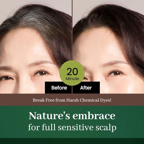 DONGSUNG Herb Speedy Color Cream (Soft Black, 1 Pack), PPD-Free Ammonia-Free Vegan Hair Dye with Sun Protection, Odorless, Gentle for Sensitive Scalp, No Eye or Scalp Irritation