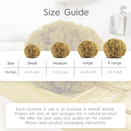 Naroa Exfoliating Natural Sponge for Shower | Bath Sea Loofah for Healthy Skin | Unbleached Bathing Body Scrubber Puff | Plastic Free (Medium)