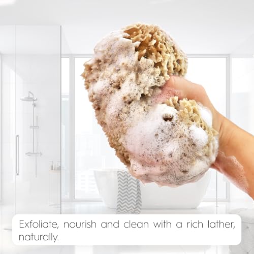 Naroa Exfoliating Natural Sponge for Shower | Bath Sea Loofah for Healthy Skin | Unbleached Bathing Body Scrubber Puff | Plastic Free (Medium)