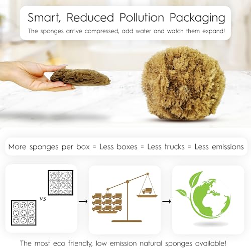 Naroa Exfoliating Natural Sponge for Shower | Bath Sea Loofah for Healthy Skin | Unbleached Bathing Body Scrubber Puff | Plastic Free (Medium)