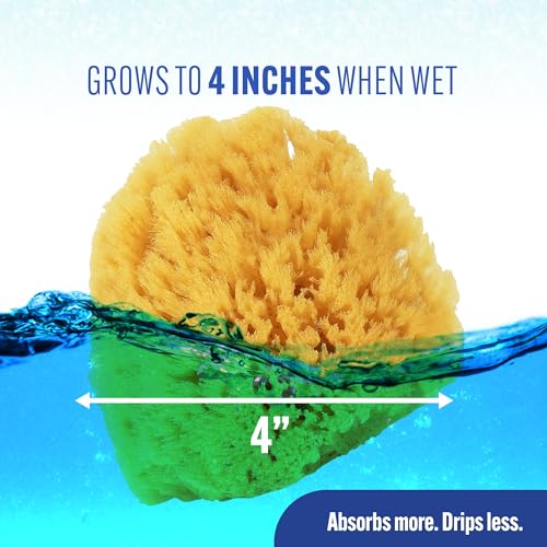 Baby Buddy Natural Grass Sea Sponge, Newborn Bath Time Essential, Textured for Exfoliation, Hypoallergenic, 1 Count