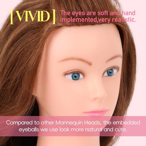 Mannequin Head Human Hair 22"-24" Female 100% Human Hair Mannequin Head Hair Styling Cosmetology Manikin Head Doll Head for Hairdresser with Clamp Holder and Tools (dark brown)