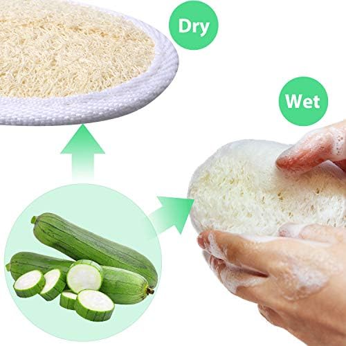 Boao 24 Pcs Loofah Pack Loofah Pads Bulk for Facial Exfoliating Body Bath Shower Mini Sponge Pads Natural Scrubber Brush for Men Women Spa and Travel