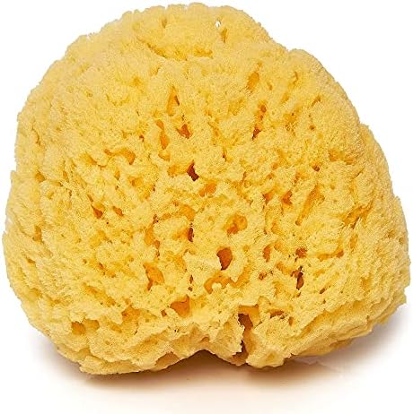 Sea Sponge for Bathing 5 inch-Softly Rough but Not Skin Irritating – Yellow, Natural Bath Sponge-Renewable Resource – Natural Sponge for Body and Shower-Lathers & Washes Really Well