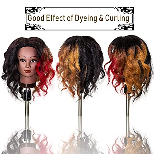 Mannequin Head With Human Hair,16",Braiding Styling Doll Head,Beauty School Manikin Head,Curling Dyeing Hairdresser Practice Training Head