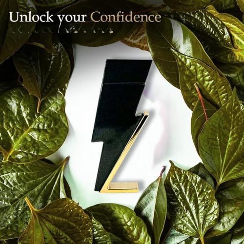 Signature Scent 4-Piece Fragrance for Men Includes Salvage/Cool Boy/Lion Versatile Black/Valentine Milano of Woody, Spicy, Citrus & Aromatic Cologne for Men