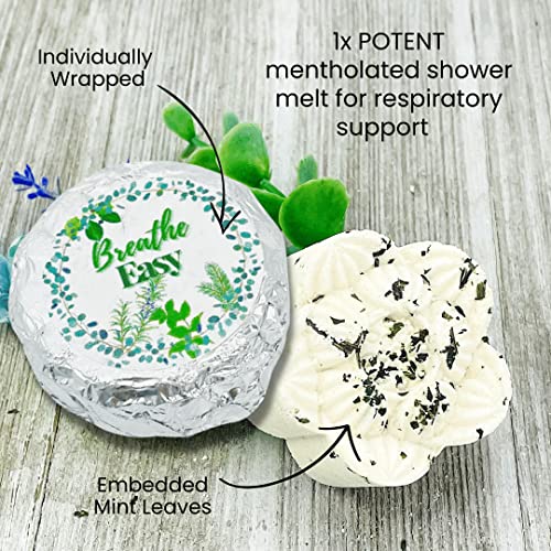 Variety Shower Bomb Collection (5pk) – Essential Oil Aromatherapy Shower Tablets for Stress, Relaxation, Mood Lift, Energy and Open Airways | Secret Santa Christmas Gift Idea (No Bomb Bag)