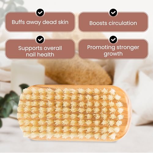 Made in Germany - SHASH + KELLER 100% First Cut Boar Bristle Nail Brush - Gently Removes Dirt and Grime for Clean Hands - Exfoliates Skin for Soft, Smooth Texture, Wood (Olive)