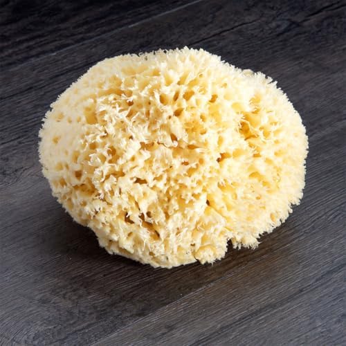 Sea Wool Sponge - All Natural Honeycomb Renewable Sea Sponge, Hand Cut, Jumbo, Approx. 7 Inches