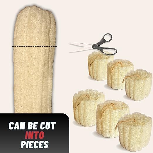 Whole Egyptian Jumbo Loofah 24"" - 28"" 100% Natural Organic Loofah Exfoliating Scrubber for Shower, Natural Loofah Sponge Body Scrubber, for Men and Women, Cream White