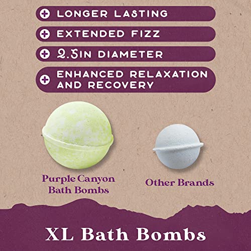 Purple Canyon Eucalyptus Bath Bombs for Women | Energizing Mint and Eucalyptus Bath Bomb with Natural Essential Oils | Gift Set of 6