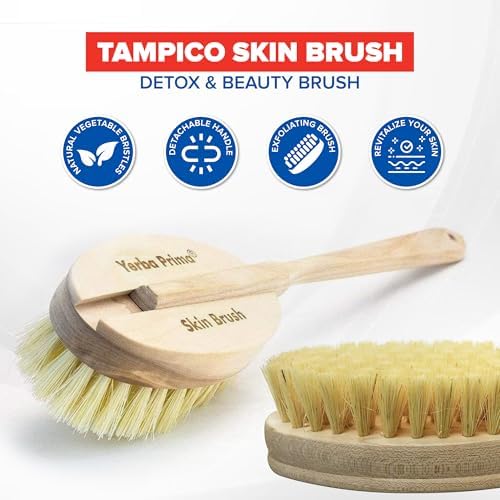 Yerba Prima Tampico Skin Brush (Pack of 1) - Natural Vegetable Fiber Bristles for Dry Skin Brushing