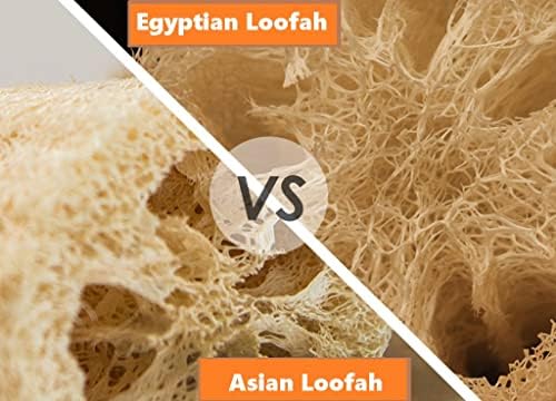 Whole Egyptian Jumbo Loofah 24"" - 28"" 100% Natural Organic Loofah Exfoliating Scrubber for Shower, Natural Loofah Sponge Body Scrubber, for Men and Women, Cream White