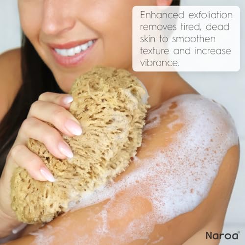Naroa Exfoliating Natural Sponge for Shower | Bath Sea Loofah for Healthy Skin | Unbleached Bathing Body Scrubber Puff | Plastic Free (Medium)