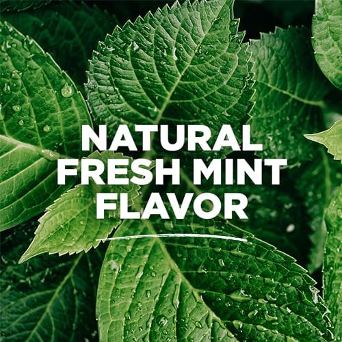 Tom's Of Maine Whole Care Natural Fluoride Mouthwash, Fresh Mint, 16 Oz (Pack of 3) (Packaging May Vary)
