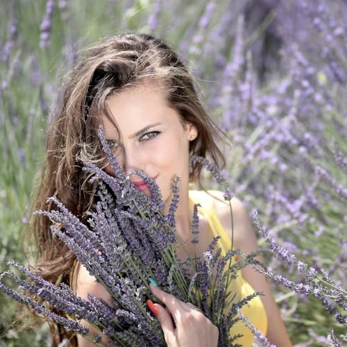 Shamarwyn French Lavender Zen Blend Perfume Oil, Organic Jojoba Base with Botanical Lavender, Orange, Wild Marjoram & Frankincense Pure Essential Oils 10ML