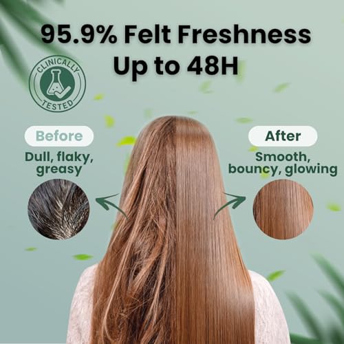 Moist Diane Anti Dandruff Shampoo and Conditioner Set for Oily Hair, Keratin Shampoo for Women & Men with Argan Oil, Tea Tree & Mint from Japan, Paraben& Silicone Free, EXTRA FRESH & HYDRATE 30.4Fl Oz