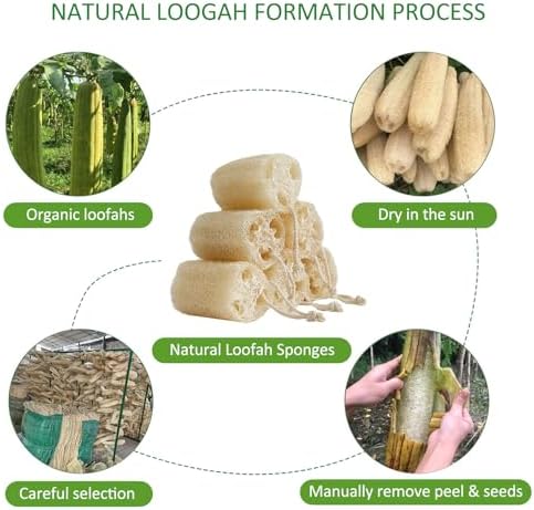 Natural Loofah Sponge, Organic Bath Loofah Pack, Lufas Exfoliating Body Scrubber, Loofas Sponges Shower Loofah for Women and Men, Skin SPA Ecotools- 6 Pack