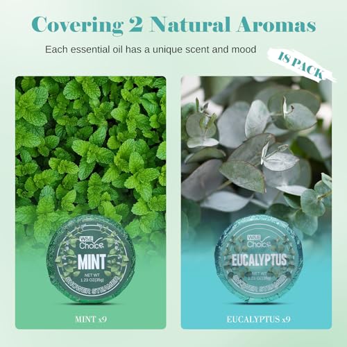 W&E Choice Shower Steamers Aromatherapy - Shower Bombs Birthday Gifts for Women, Eucalyptus Mint Essential Oils for Daily Relaxation & Stress Relief, Gift for Women & Men, Mom, Teen 18 Pack