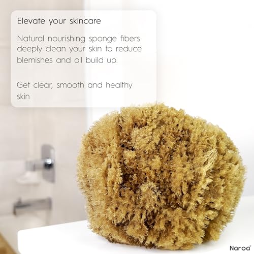 Naroa Exfoliating Natural Sponge for Shower | Bath Sea Loofah for Healthy Skin | Unbleached Bathing Body Scrubber Puff | Plastic Free (Medium)