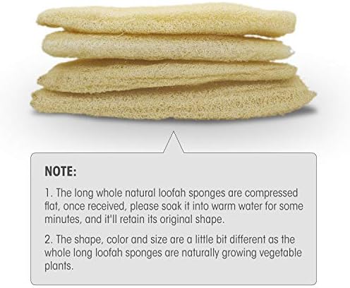 Natural Organic Loofah Sponges Large Exfoliating Shower Bath Loofah Luffa Loofa Body Scrubbers Sponges for SPA Beauty Bath and Radiant Skin, Pack of 4