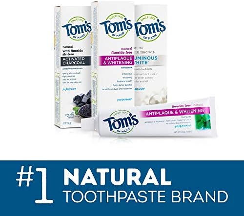 Tom's of Maine Travel Size Anticavity Fresh Mint Toothpaste, 3 oz. 6-Pack (Packaging May Vary)