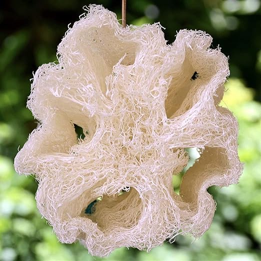 Natural Egyptian Loofahs Exfoliating Scrubber for Shower, Natural Loofah Sponge Body Scrubber, Deep Clean & Invigorate Your Skin, for Men and Women (Natural Loofah, 3, Count)