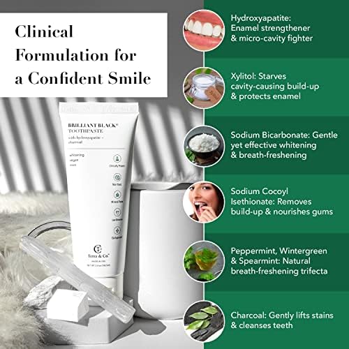 Terra & Co. Brilliant Black Hydroxyapatite Toothpaste for Whitening Teeth – USA-Made - Natural Remineralizing Toothpaste, Fluoride-Free, Vegan, SLS-Free, Low Abrasion – Mint, 3.4 oz