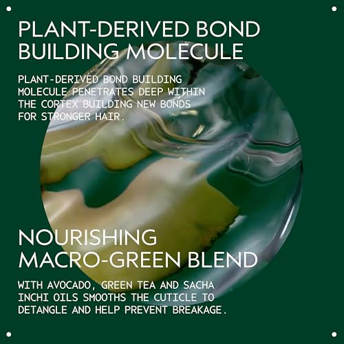 Aveda Botanical Repair Bond-Building Styling Creme | Helps Repair Damaged Hair | Smooths Frizz for Up to 72 Hours | Heat Protectant | 98% Naturally Derived* | Silicone Free