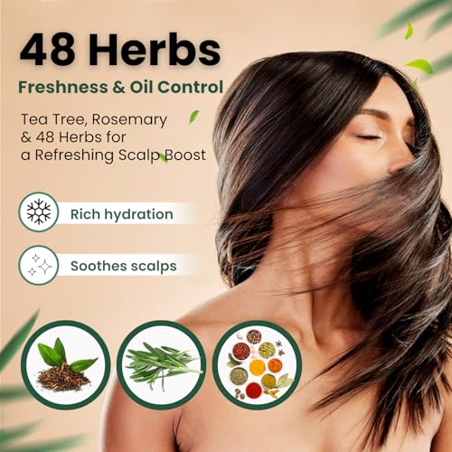 Moist Diane Anti Dandruff Shampoo and Conditioner Set for Oily Hair, Keratin Shampoo for Women & Men with Argan Oil, Tea Tree & Mint from Japan, Paraben& Silicone Free, EXTRA FRESH & HYDRATE 30.4Fl Oz