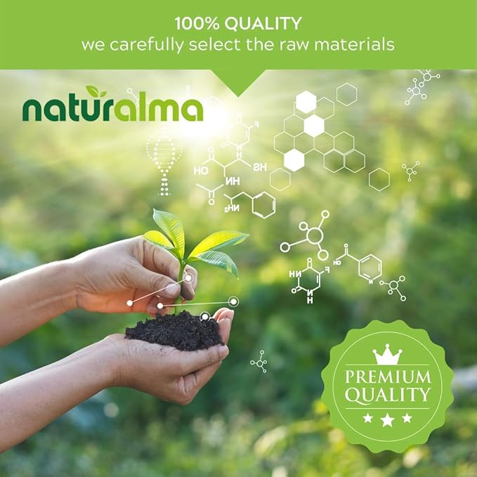 Naturalma Ginkgo (Ginkgo biloba) Leaf Alcohol-Free Tincture - 4 fl oz Liquid Extract in Drops - Herbal Supplement - Vegan
